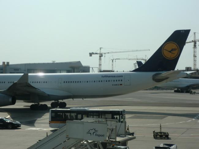 CIMG1231_resize.JPG